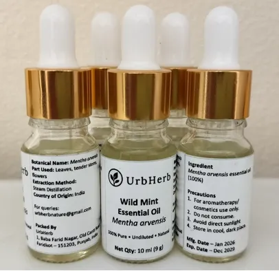 [URB-EO-MINT-10ML] Wild Mint Essential Oil
